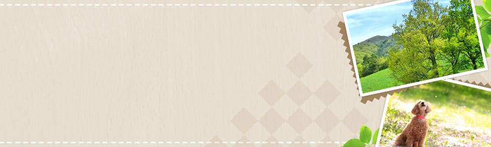 �ӂ邳�Ɣ[��-�ߐŁE�Ҍ������炨�����ߕԗ�i